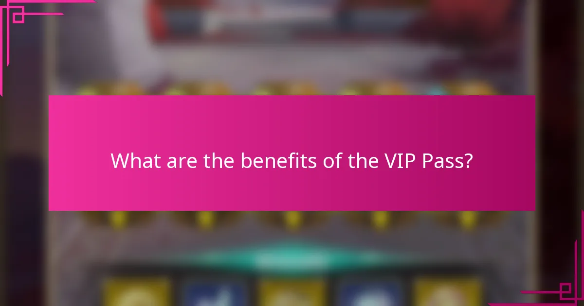 What are the benefits of the VIP Pass?